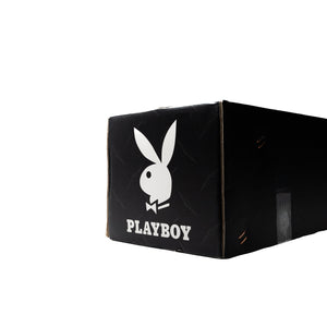 *PB101 - PLAYBOY METALLIC AMETHYST ASH